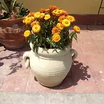 Il Giardino Sul Mare B&B 3*