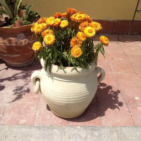 Il Giardino Sul Mare Alojamento de Acomodação e Pequeno-almoço 3*