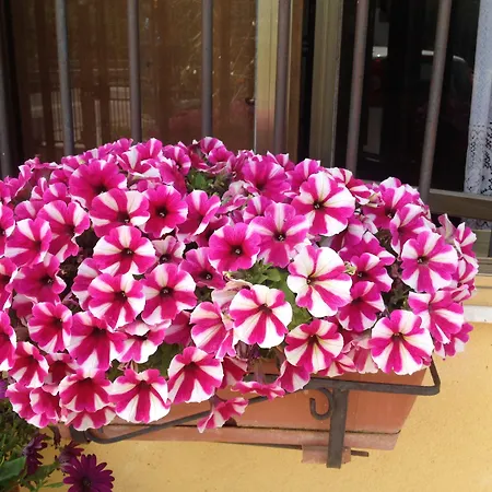 Il Giardino Sul Mare 3*