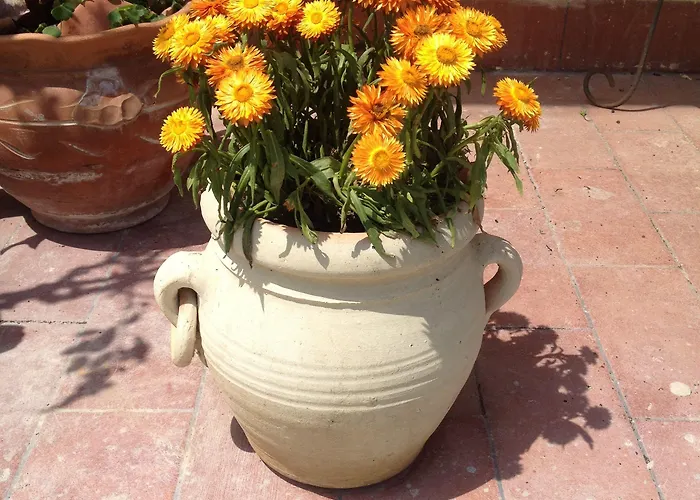 Il Giardino Sul Mare Alojamento de Acomodação e Pequeno-almoço 3*