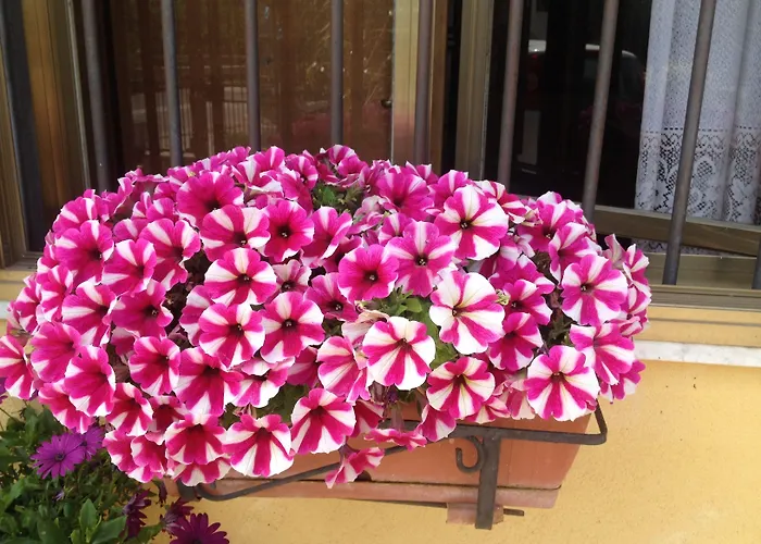 Il Giardino Sul Mare 3*